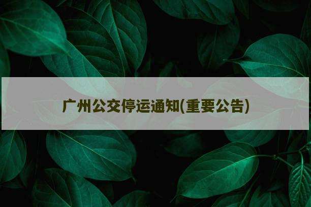 博彩公司域名官网平台 博狗体育最新网站-图1